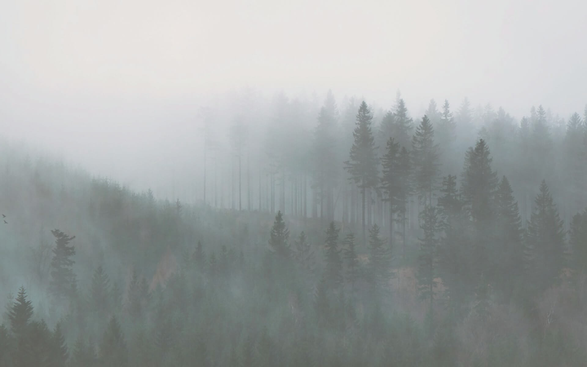 Bergisches Land